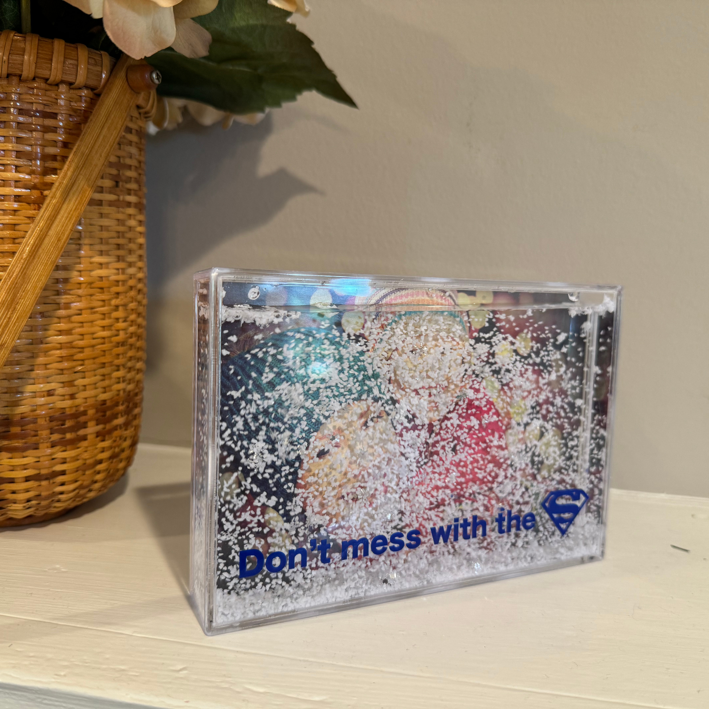 Photo Frame Snowglobe
